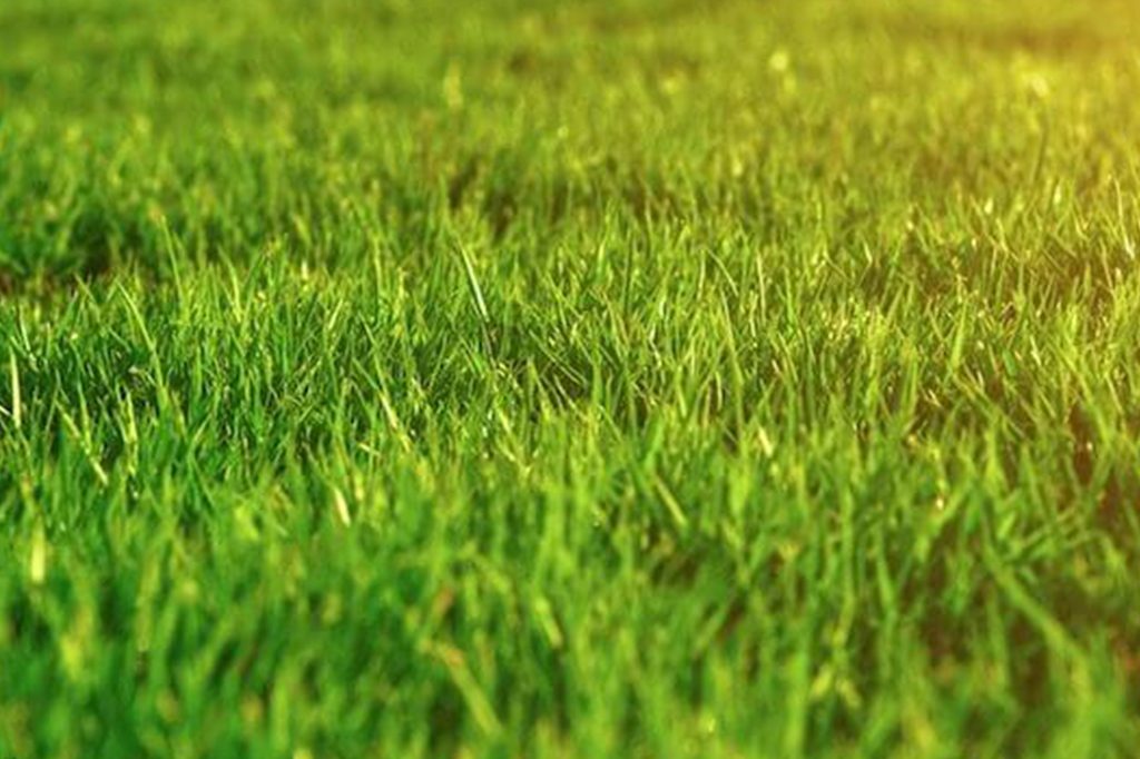 SS_RuralFarm_500 We can provide solutions for your farming systems
